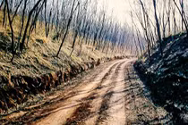 Giật mình đường cao tốc hơn 2.200 năm tuổi thời nhà Tần