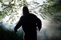 Video nghi Bigfoot gây chấn động, dân mạng rần rần truy dấu