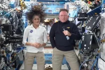 Du hành không gian ảnh hưởng đến cơ thể phi hành gia thế nào?