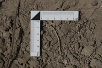 Khai quật thành Troy huyền thoại, phát hiện báu vật quý hiếm