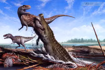 Khám phá cá sấu khổng lồ Deinosuchus schwimmeri thời tiền sử