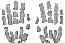 Mẫu bàn tay hóa thạch của người cổ đại hé lộ bí mật bất ngờ