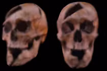 Hài cốt 750 năm tuổi tiết lộ vụ ám sát đẫm máu của Công tước Béla xứ Macsó