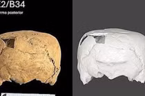 Phát hiện hộp sọ hình khối lập phương độc đáo tại Mexico