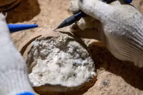 Tò mò hóa thạch trứng khủng long gần 86 triệu năm tuổi