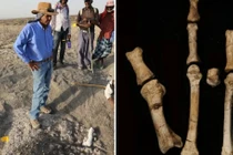 Khám phá hóa thạch 3,4 triệu năm tuổi hé lộ về tổ tiên của con người