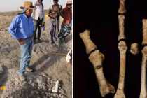 Khám phá hóa thạch 3,4 triệu năm tuổi hé lộ về tổ tiên của con người