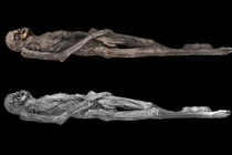 Hé lộ hình xăm 2.300 năm tuổi trên xác ướp phụ nữ Siberia