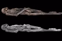 Hé lộ hình xăm 2.300 năm tuổi trên xác ướp phụ nữ Siberia