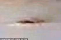 Thợ săn choáng váng chứng kiến thủy quái hồ Loch Ness khổng lồ xuất hiện