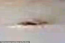 Thợ săn choáng váng chứng kiến thủy quái hồ Loch Ness khổng lồ xuất hiện