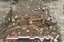 Khai quật hài cốt tại Grenoble hé lộ hình phạt công khai từ thế kỷ 16