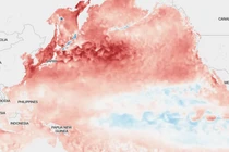 Khối nước ấm xuất hiện bất thường ở Bắc Thái Bình Dương