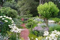 Tiết lộ mốc vàng giúp cây cối ứng phó biến đổi khí hậu