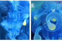 Loài sứa lạ màu xanh lam xuất hiện ngoài khơi Nhật Bản