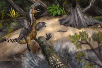 Bí ẩn hộp sọ tí hon 95 triệu năm tuổi của loài cá sấu chưa từng thấy 