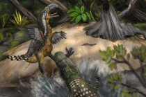 Bí ẩn hộp sọ tí hon 95 triệu năm tuổi của loài cá sấu chưa từng thấy 