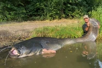 Bắt gọn thủy quái khủng dài gần 3m, cần thủ vớ bẫm