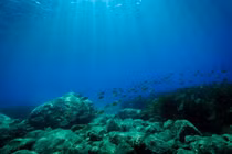 Phát hiện hệ thống nước 'ngọt hóa' cổ đại dưới đáy Đại Tây Dương