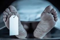 Những Giải thưởng Ig Nobel 'độc, dị' nhất thế giới 