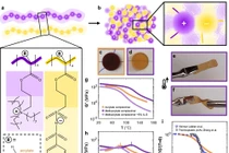 Các nhà khoa học Hà Lan phát minh vật liệu thách thức các định luật vật lý