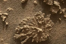 Xôn xao vật thể kỳ lạ như san hô trên sao Hỏa