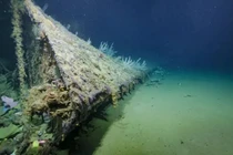 Phát hiện mũi tàu chiến Mỹ 'ngủ vùi' ở Nam Thái Bình Dương