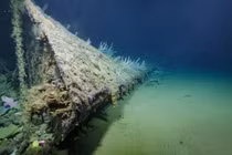 Phát hiện mũi tàu chiến Mỹ 'ngủ vùi' ở Nam Thái Bình Dương