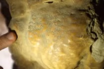 Khám phá bí mật dòng chữ cổ khó hiểu trong hang động Israel