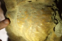 Khám phá bí mật dòng chữ cổ khó hiểu trong hang động Israel