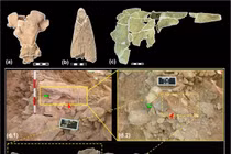 Người Neanderthal thu thập hộp sọ động vật để làm gì?