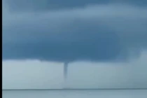  Những tỉnh nào của Việt Nam ghi nhận?