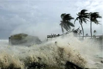 Biến đổi khí hậu năm 2025 gây thiệt hại hơn 120 tỷ USD