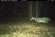 Khám phá cuộc khảo sát lớn nhất về động vật hoang dã tại Việt Nam