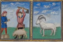 Sửng sốt với những phiên tòa xử động vật kỳ lạ thời Trung cổ