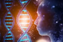 Phát hiện ADN cổ xưa cho thấy quan hệ cha-con gây sốc