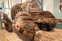 Phát hiện cỗ xe ngựa mái che 3.500 tuổi tại Armenia gây sửng sốt