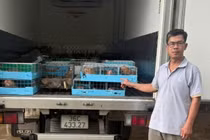 Khởi tố đối tượng buôn lậu động vật hoang dã ở Quảng Trị