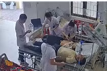 Hai vợ chồng ở Nghệ An bị ong đốt nguy kịch