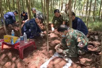 Liên tiếp phát hiện 13 hài cốt liệt sĩ ở Quảng Trị