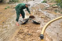 Truy quét 'điểm nóng' đào đãi vàng trái phép ở Huế