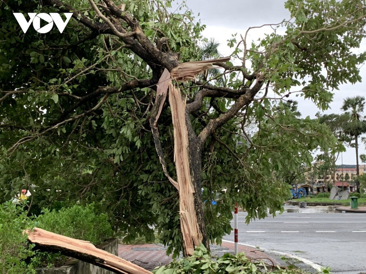 Cập nhật: Bão số 13 cuốn bay mái trường học, "nhổ" bật gốc cây, cuốn trôi nhà dân ảnh 32