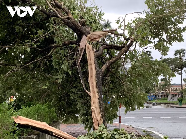 Cập nhật: Bão số 13 cuốn bay mái trường học, "nhổ" bật gốc cây, cuốn trôi nhà dân ảnh 32