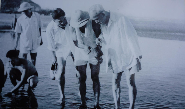 Hinh anh Bac Ho keo luoi o Sam Son 60 nam truoc hinh anh 8 