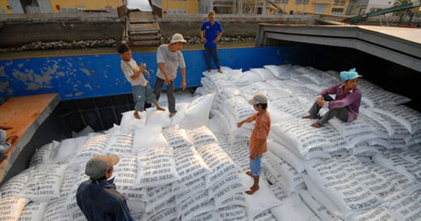 Doanh nghiệp xù cấp gạo dự trữ quốc gia, Bộ Tài chính đề nghị tăng chế tài - Ảnh 1.
