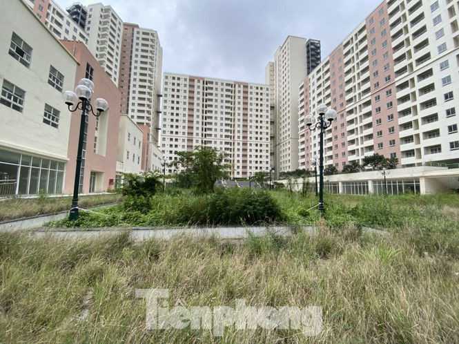 Siêu dự án giao đất 'thần tốc', chục ngàn căn hộ tái định cư bỏ không lãng phí - ảnh 1