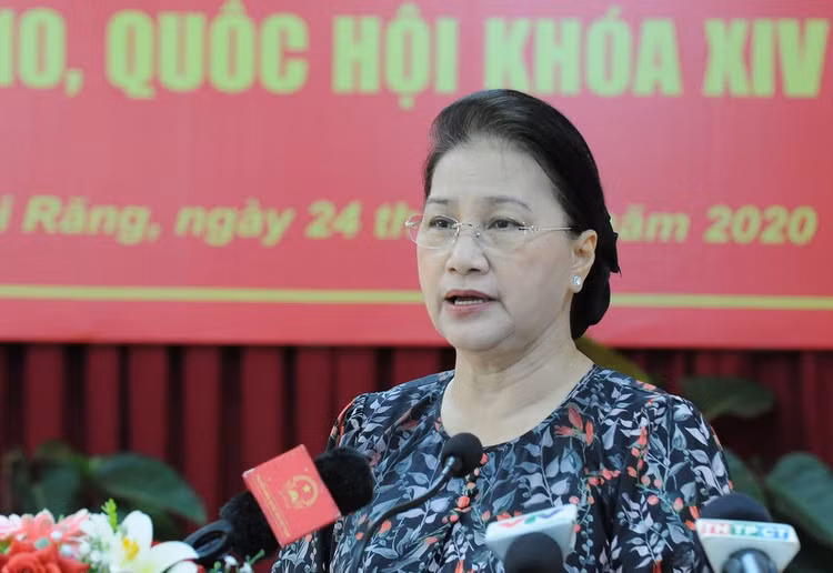 Chủ tịch Quốc hội trả lời cử tri về vụ án Hồ Duy Hải - ảnh 2