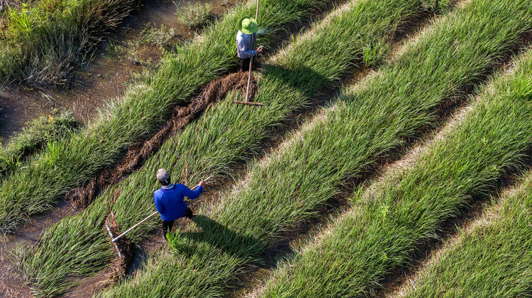 quy hoach dong bang song cuu long anh 1