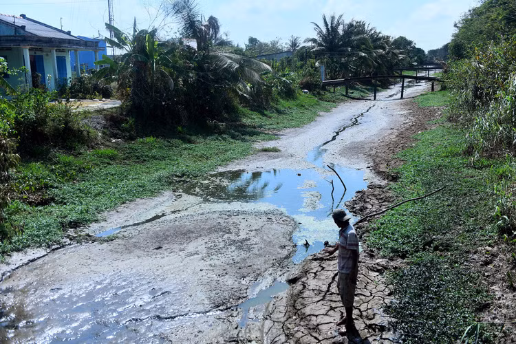 quy hoach dong bang song cuu long anh 2