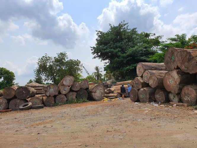 Thanh tra TPHCM kiến nghị xử lý tình trạng 'xẻ thịt' đất công viên - ảnh 2